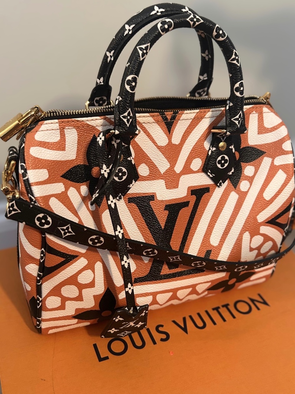 Louis Vuitton Speedy Bandoulière 25 Crafty – Limited Edition